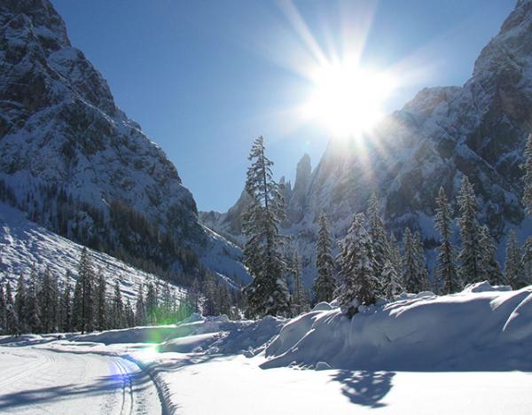 winter-landschaft