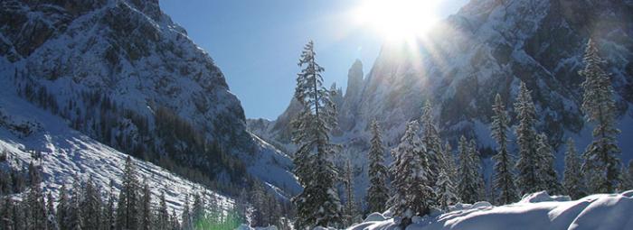 winter-landschaft